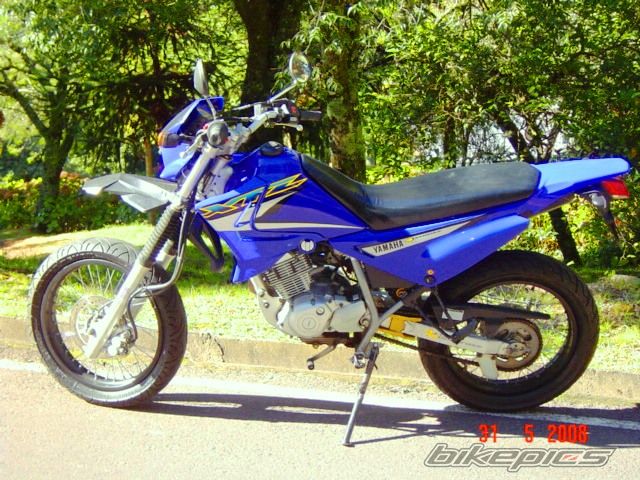 Photo 1311582