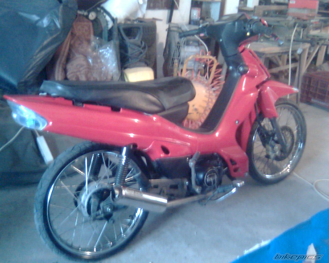 Photo 1311613