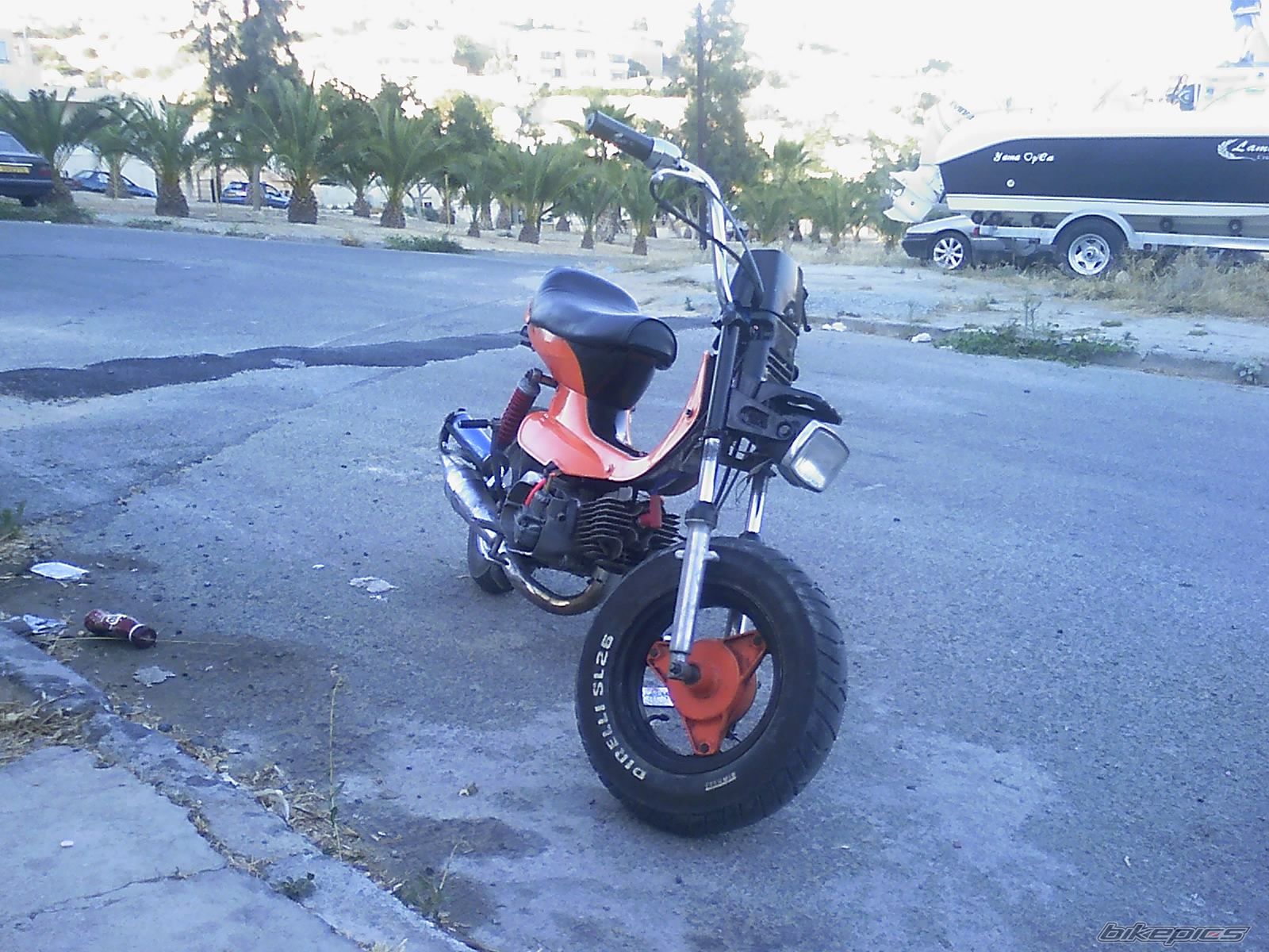 Photo 1311642