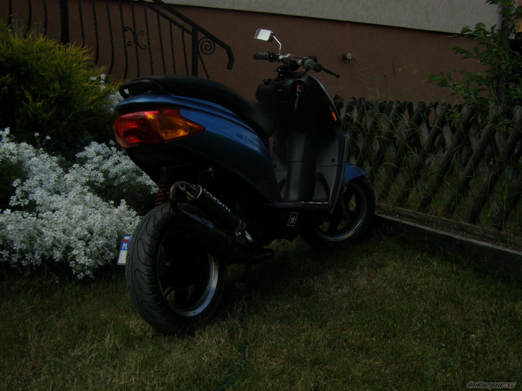 Photo 1311745