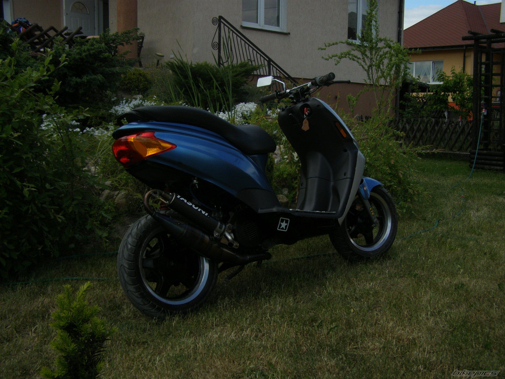 Photo 1311759
