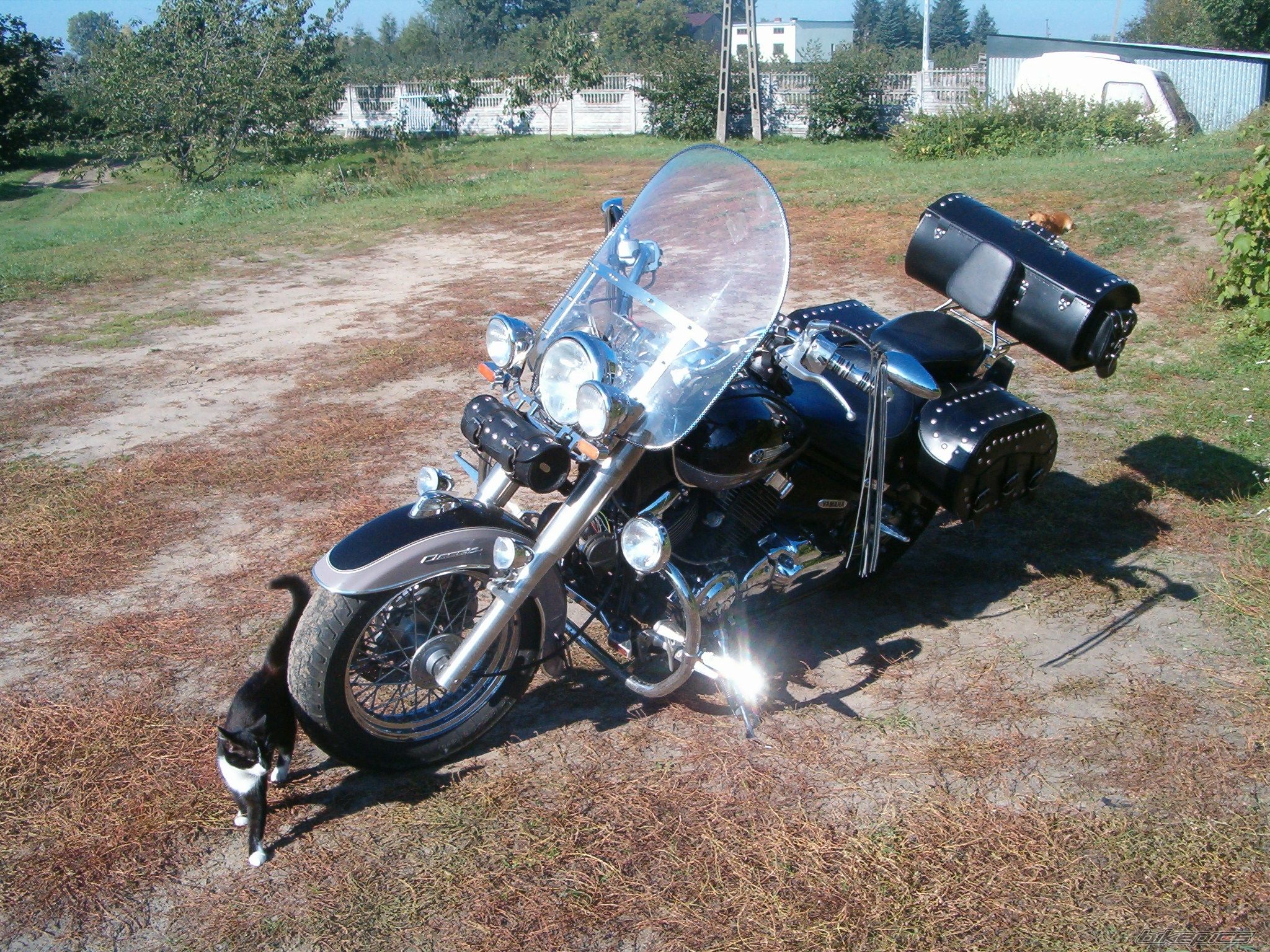 Bike Photo 1311933