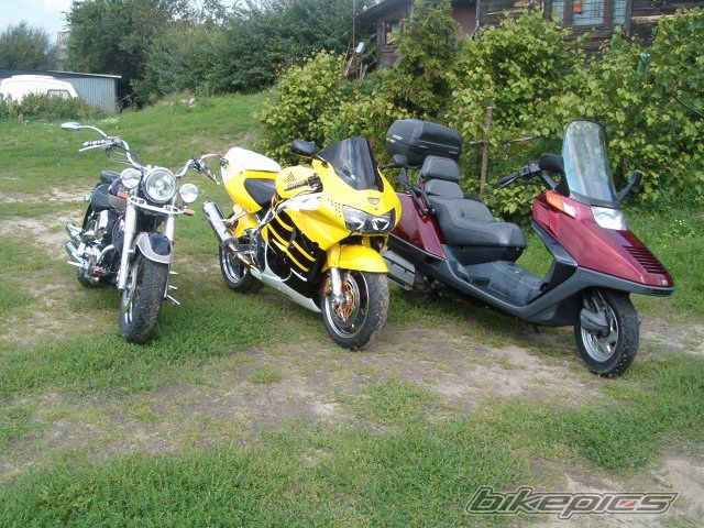 Bike Photo 1311934