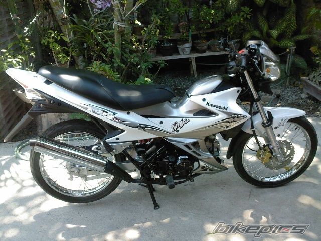 Photo 1311940