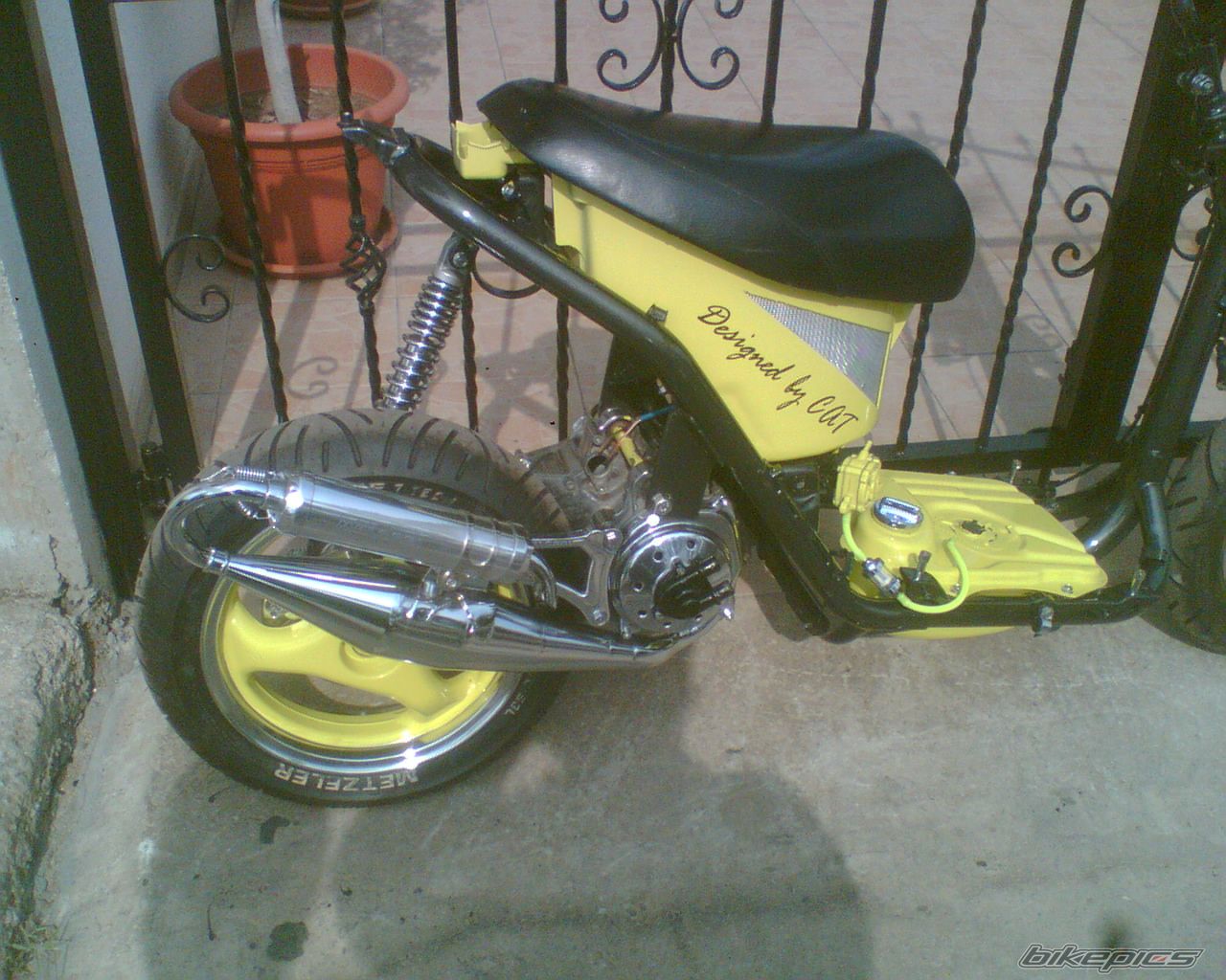 Photo 1312120