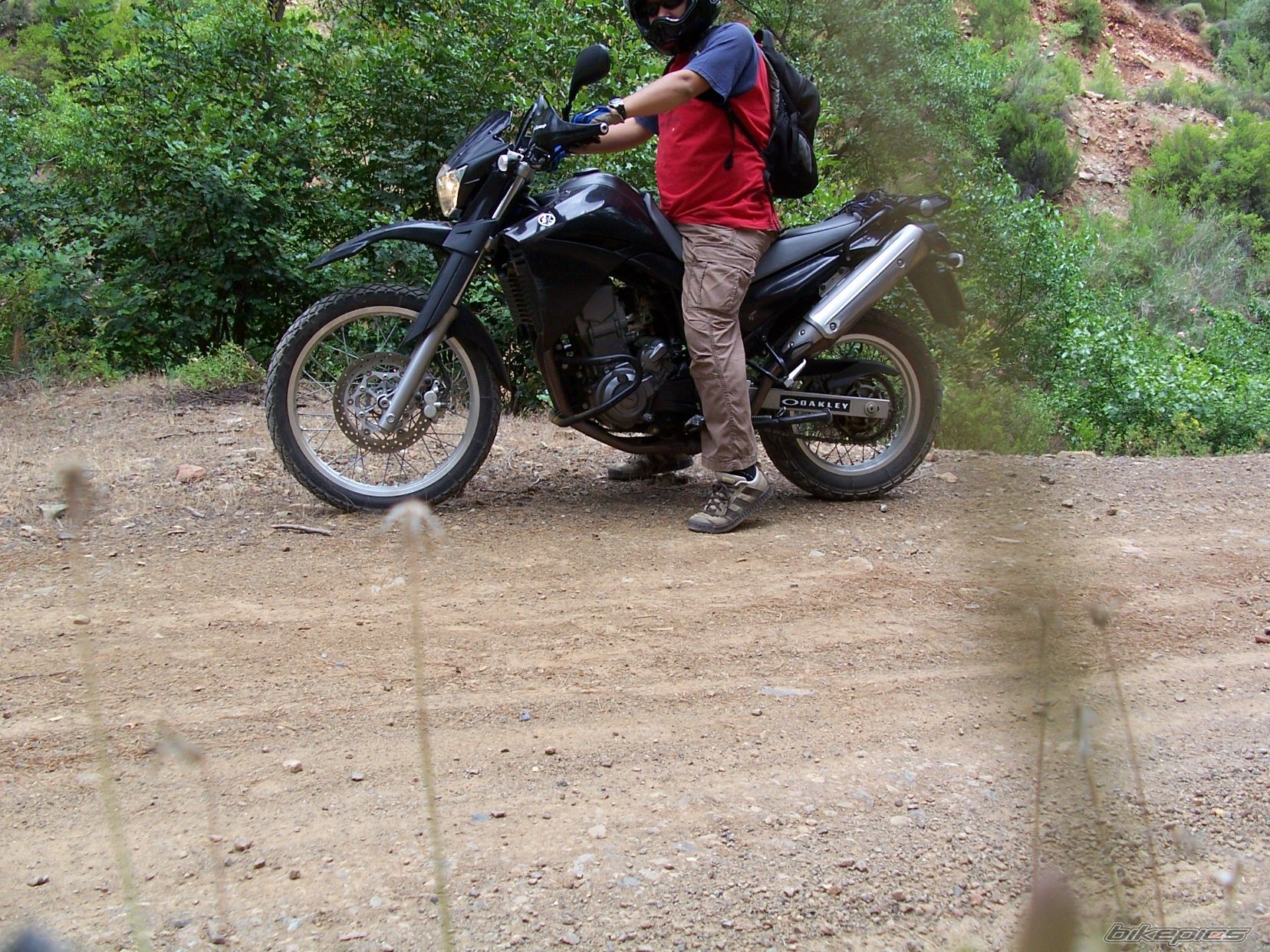 Bike Photo 1312289