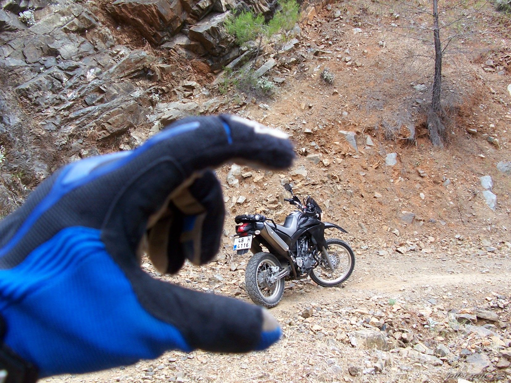 Bike Photo 1312293