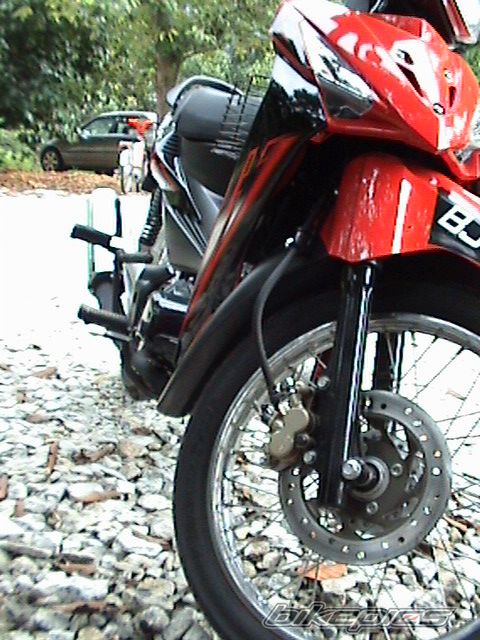 Photo 1312296