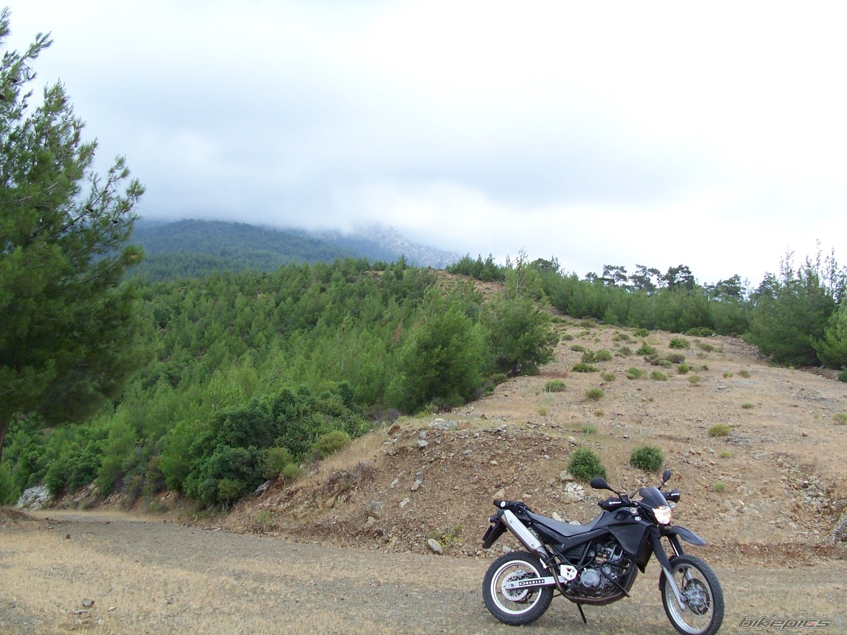 Bike Photo 1312301