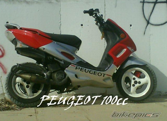 Photo 1312309