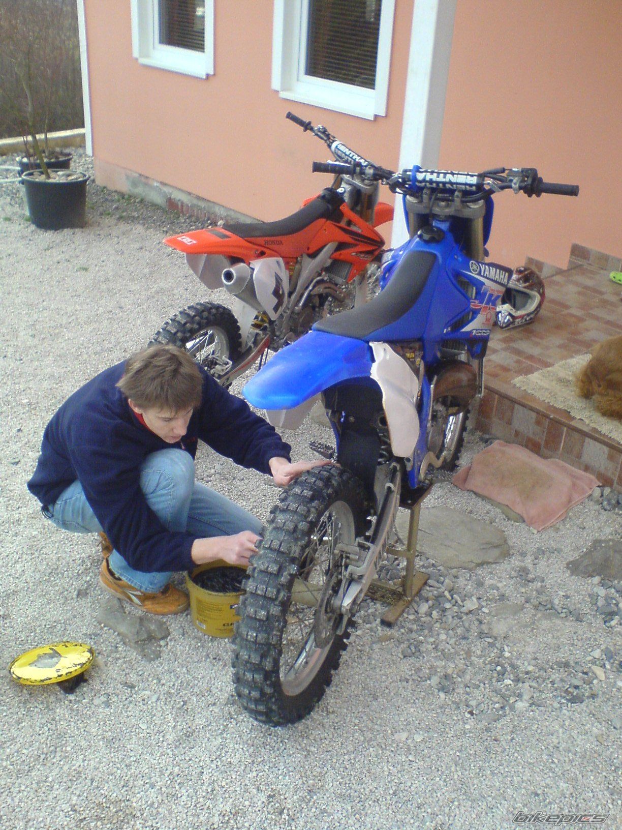 Photo 1312330