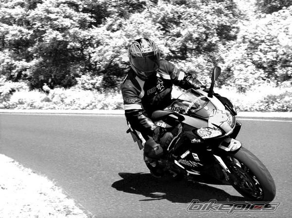 Photo 1312364