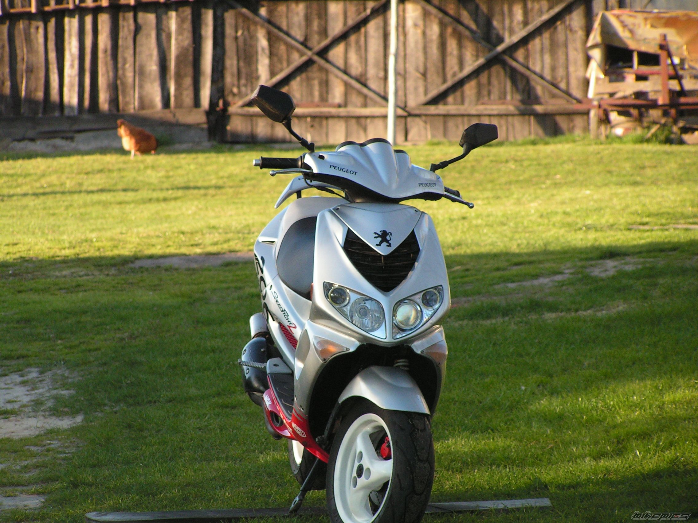 Photo 1312383