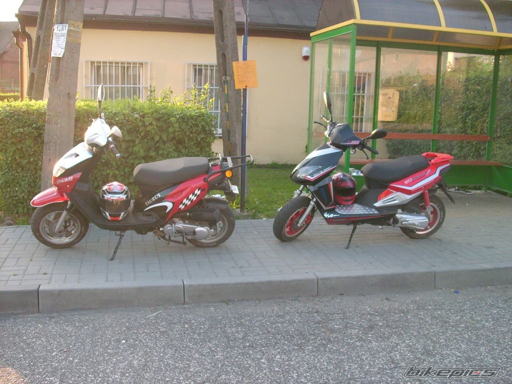 Photo 1312410