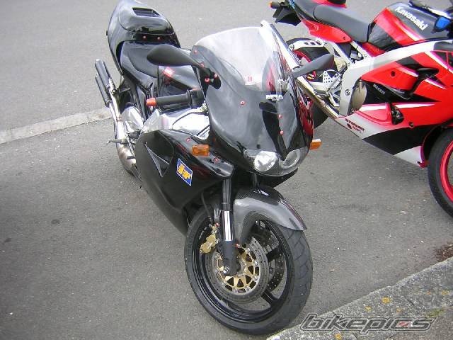 Photo 131246