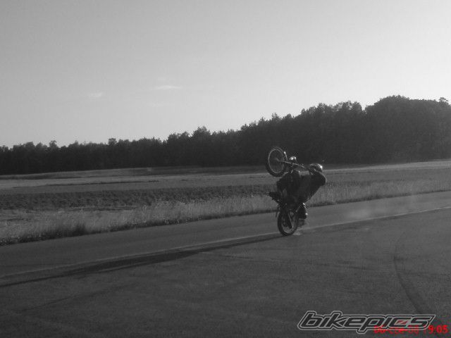 Photo 1312462