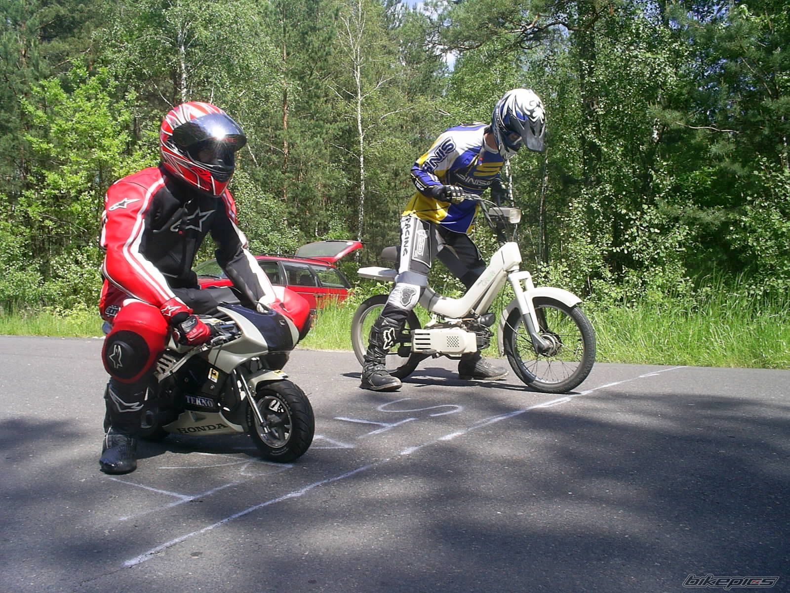 Photo 1312480
