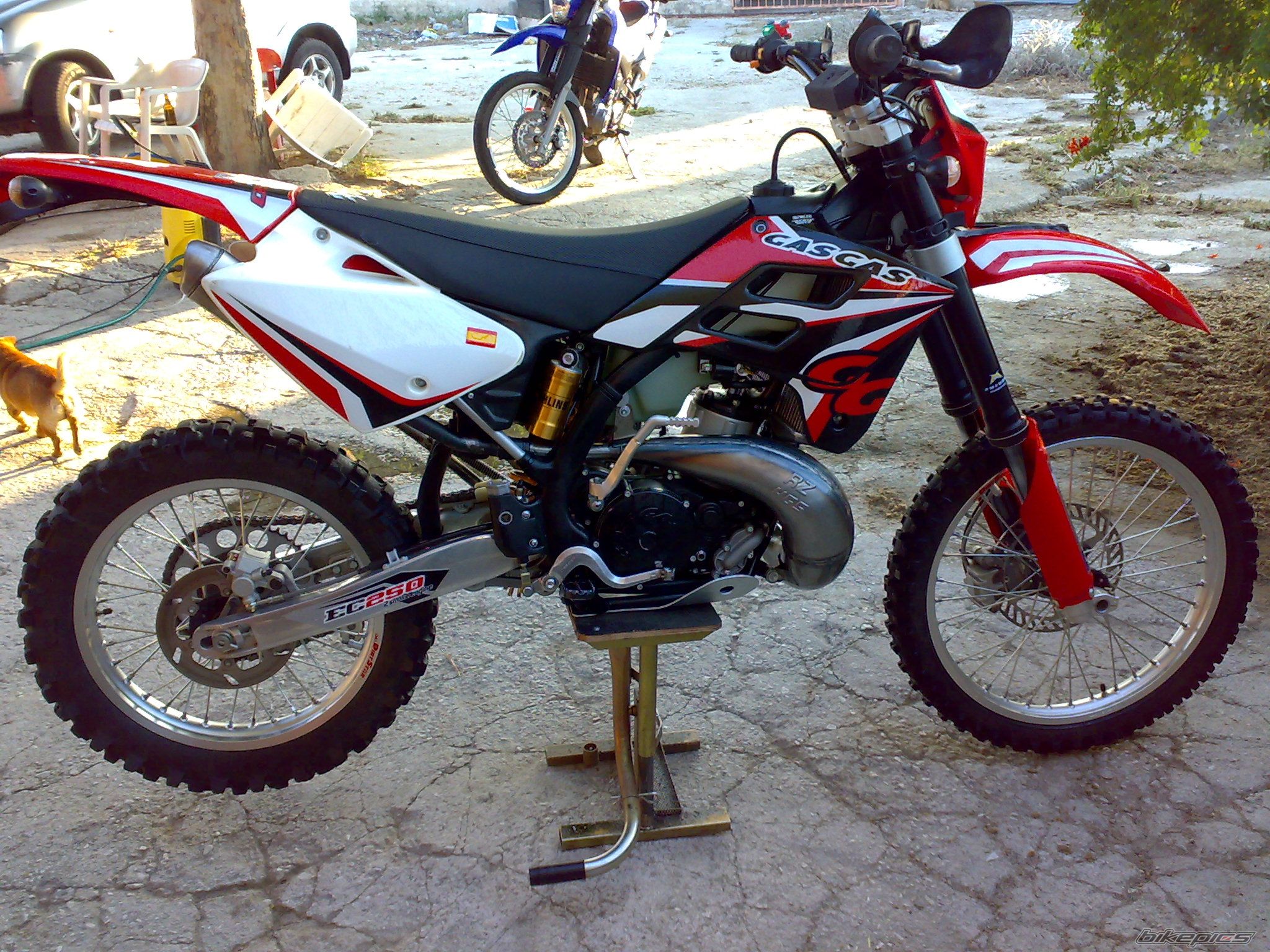 Bike Photo 1312491