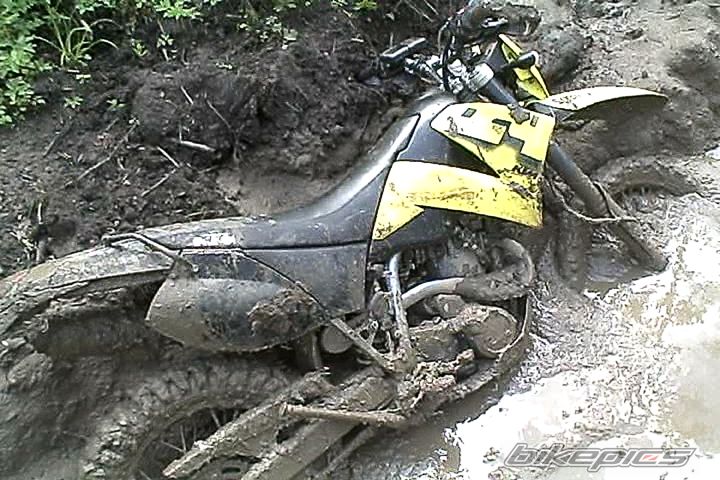 Photo 1312517