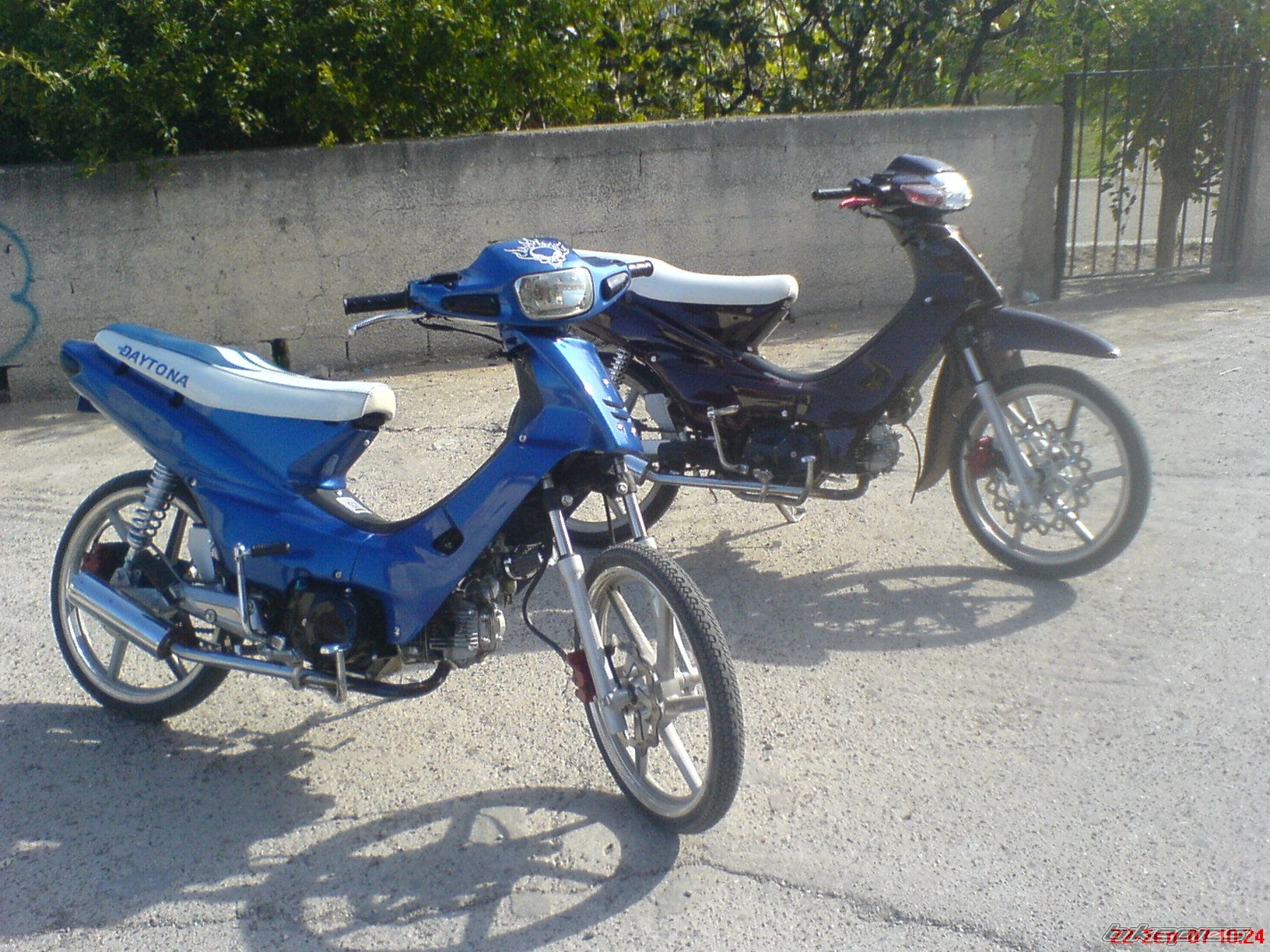 Photo 1312662