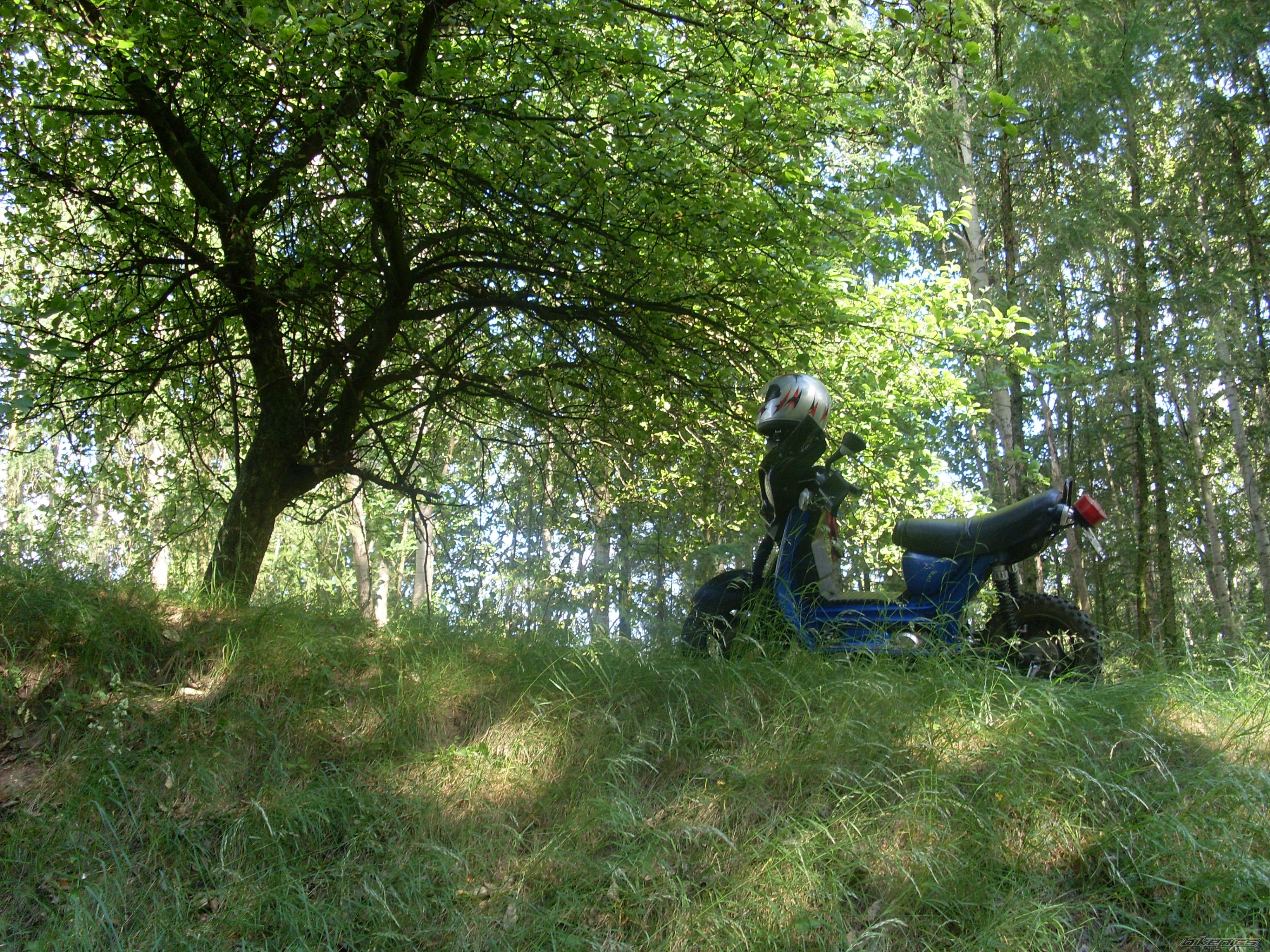 Bike Photo 1312676