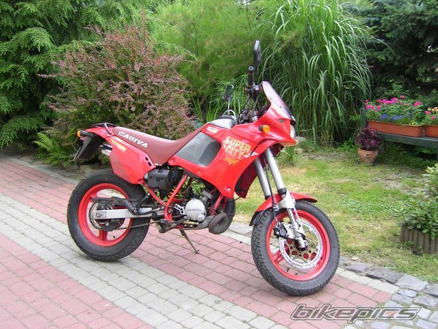 Photo 1312678