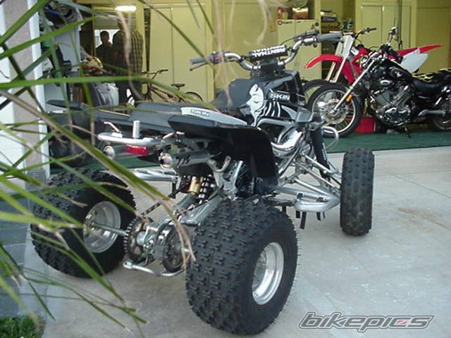 Photo 131270