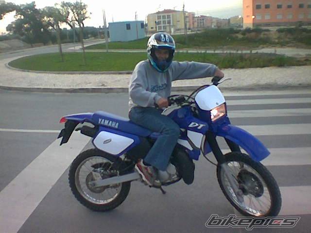 Photo 131279