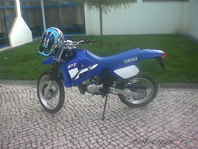 Photo 131280
