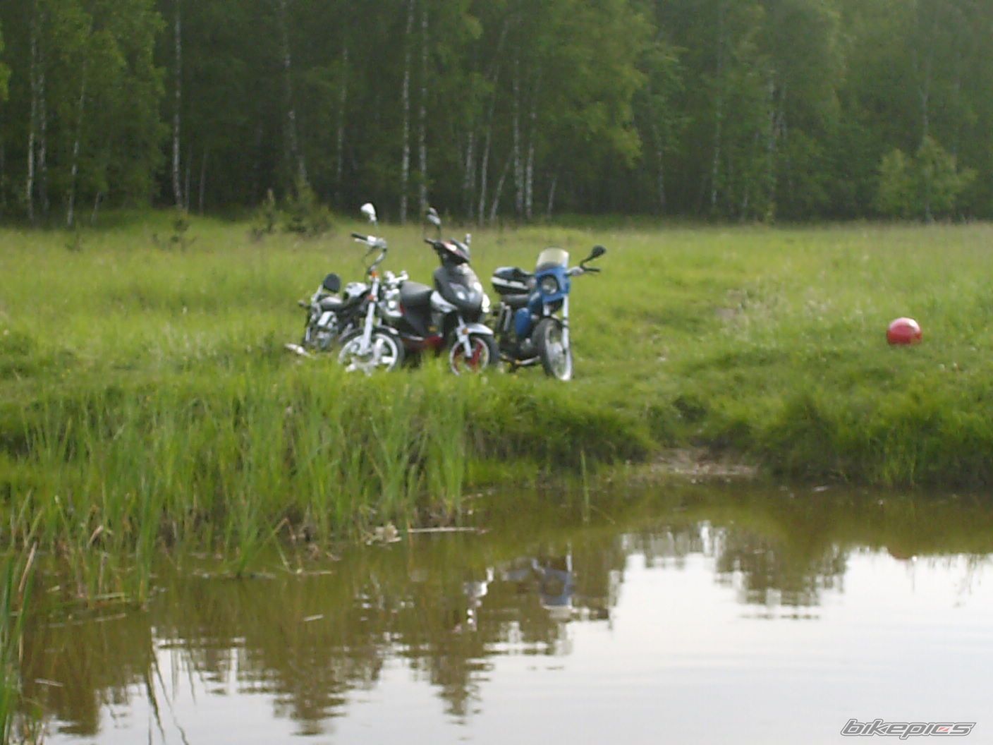 Photo 1312801