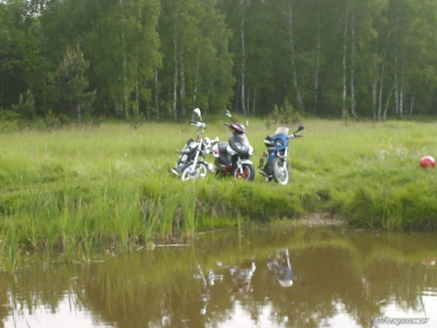 Photo 1312802