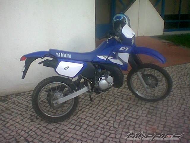 Photo 131286