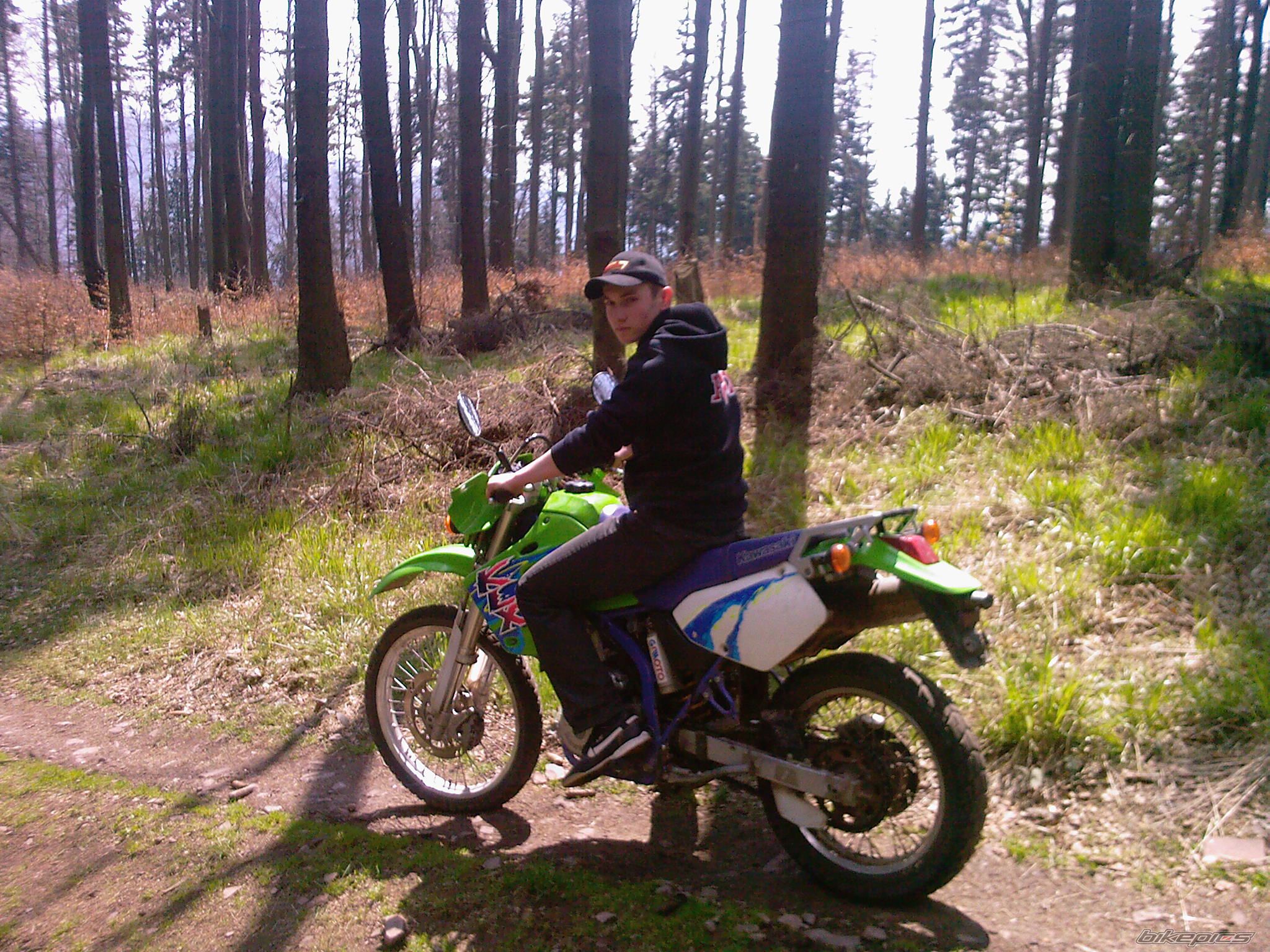 Photo 1312860