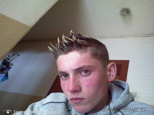 Photo 1312865
