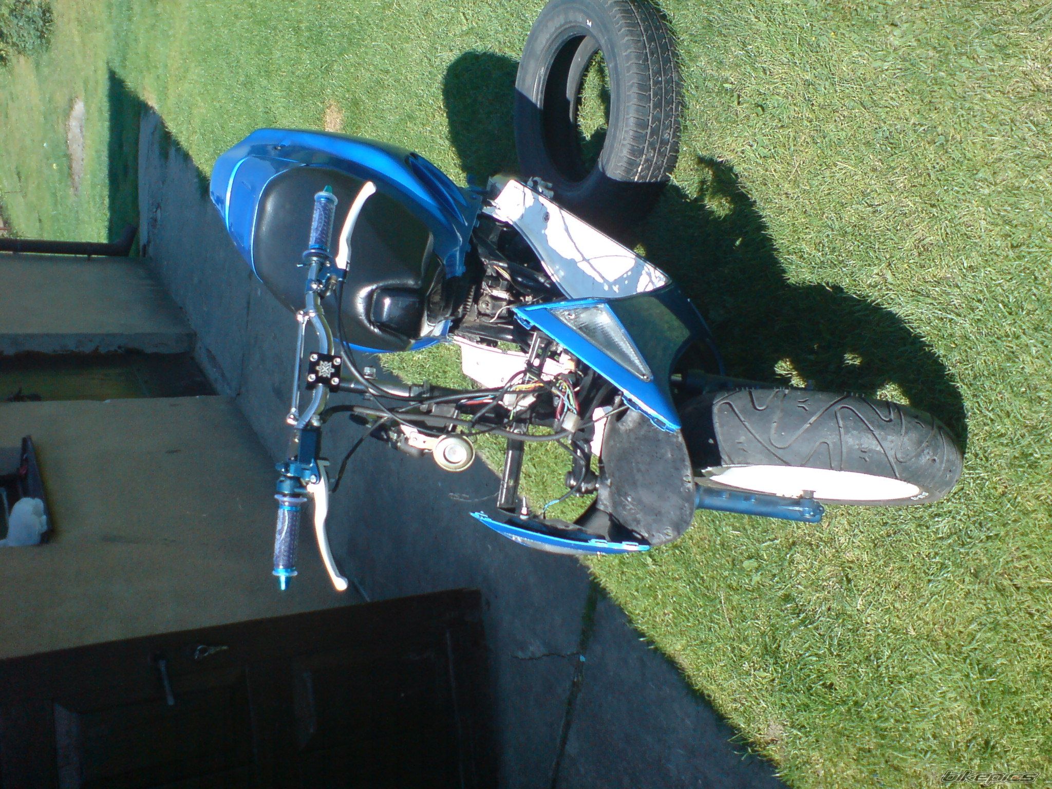Photo 1312887