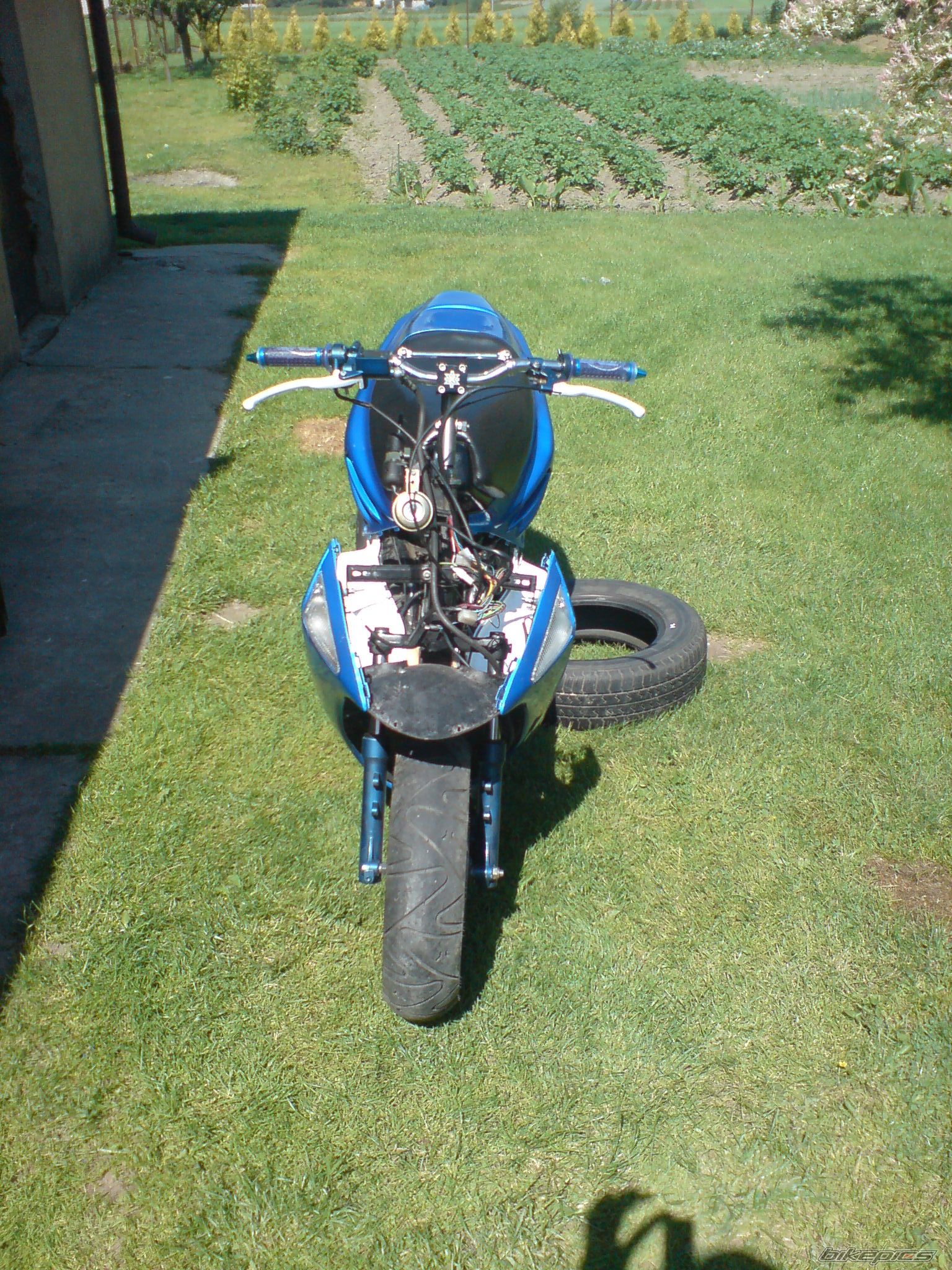 Photo 1312897