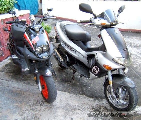 Photo 1312958