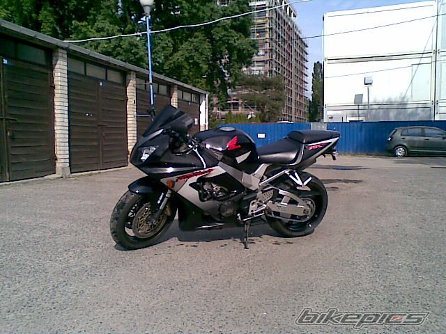 Photo 1313003