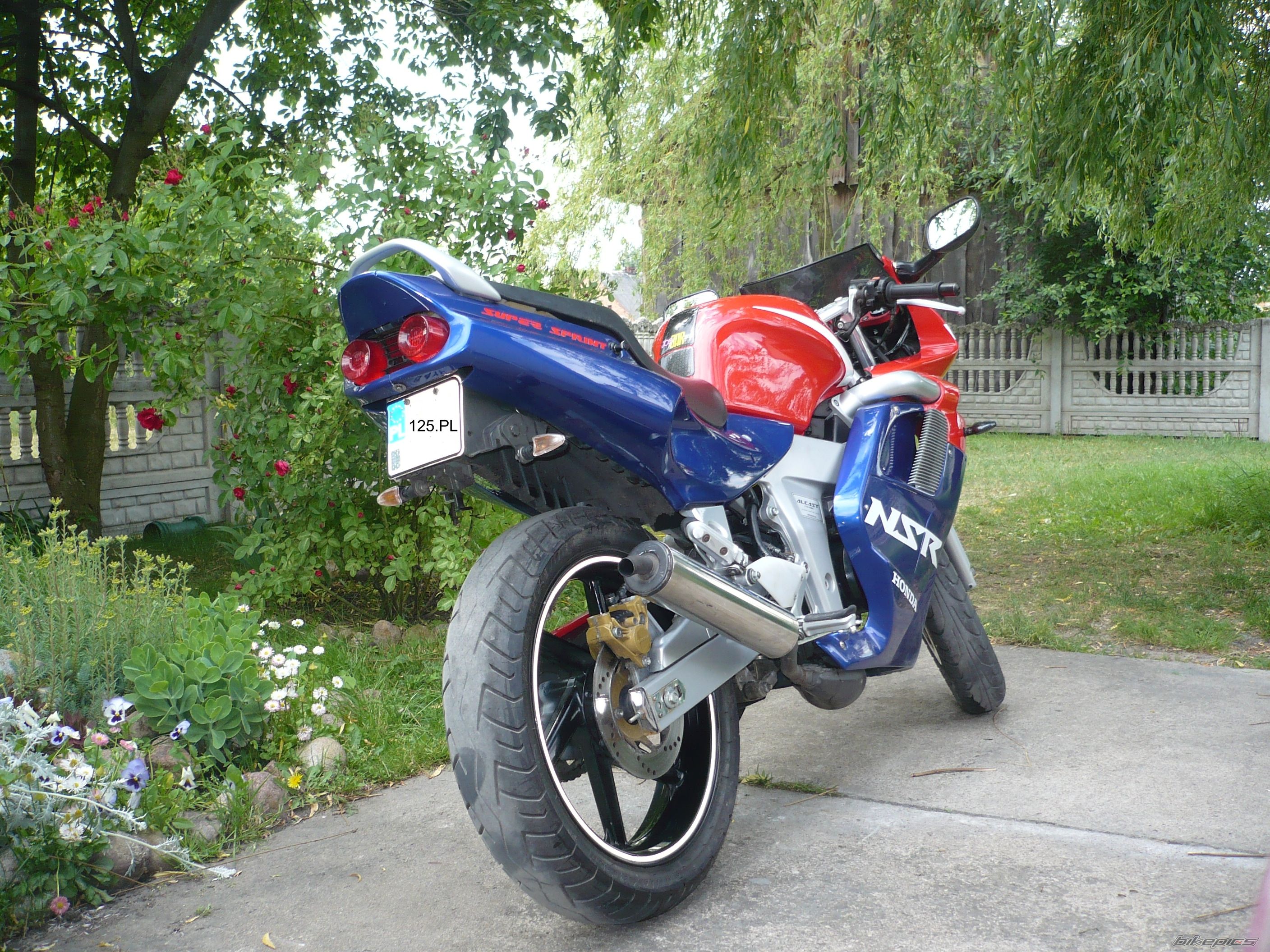 Photo 1313033