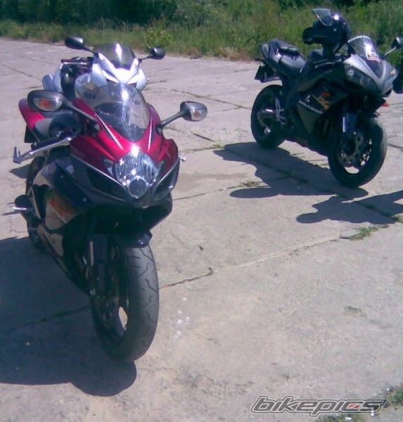 Photo 1313049