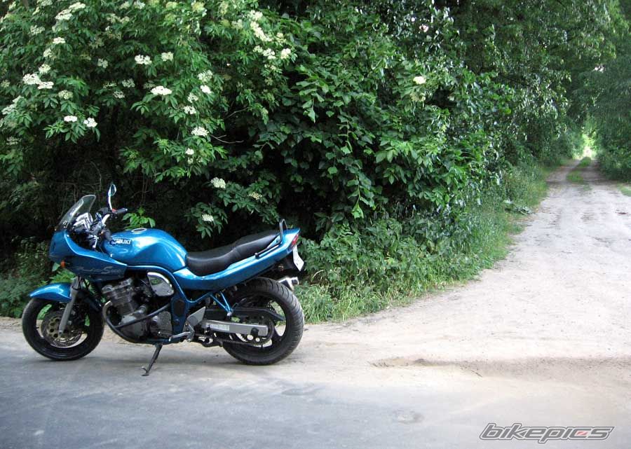 Photo 1313051