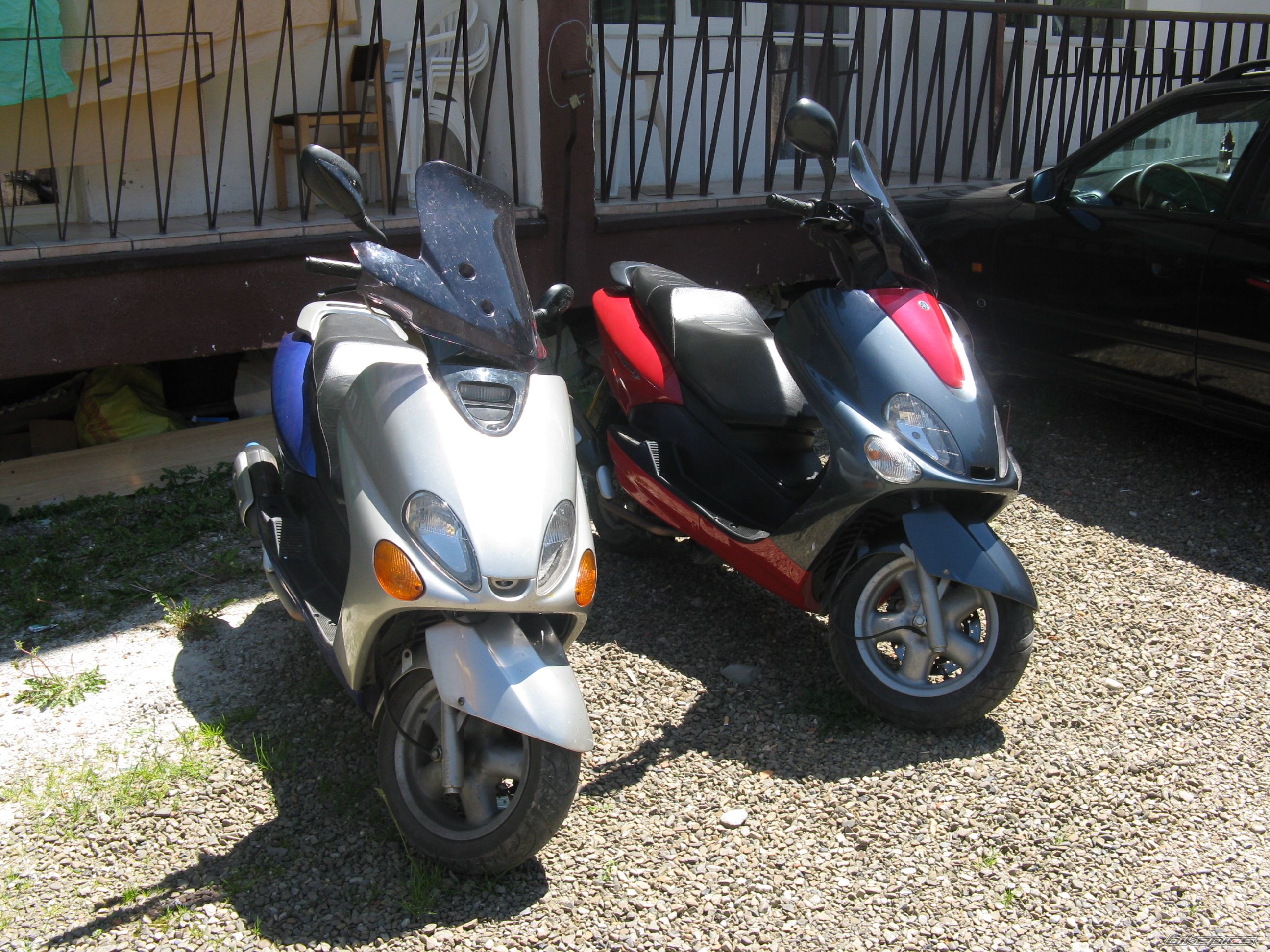 Photo 1313062