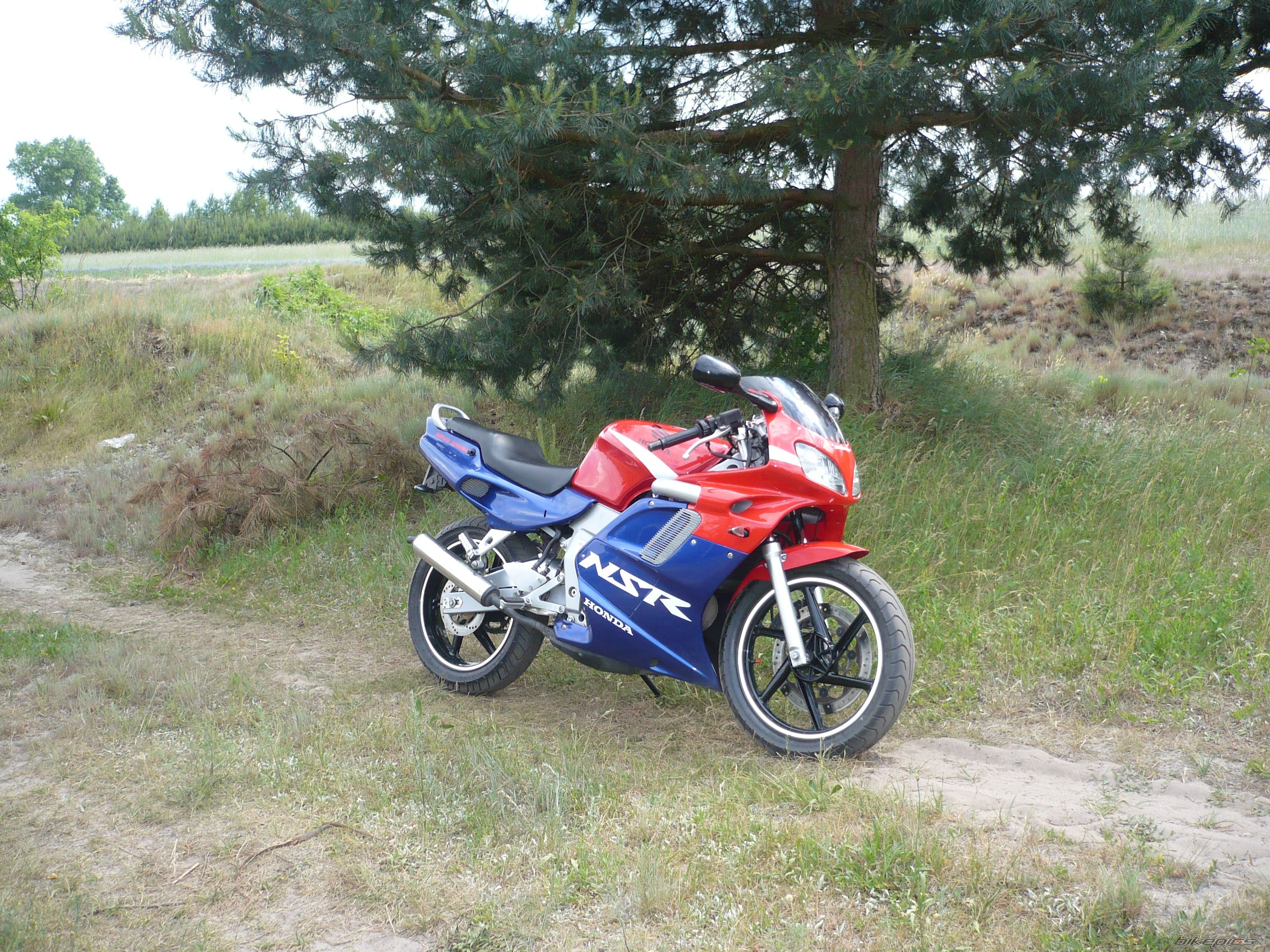 Photo 1313064