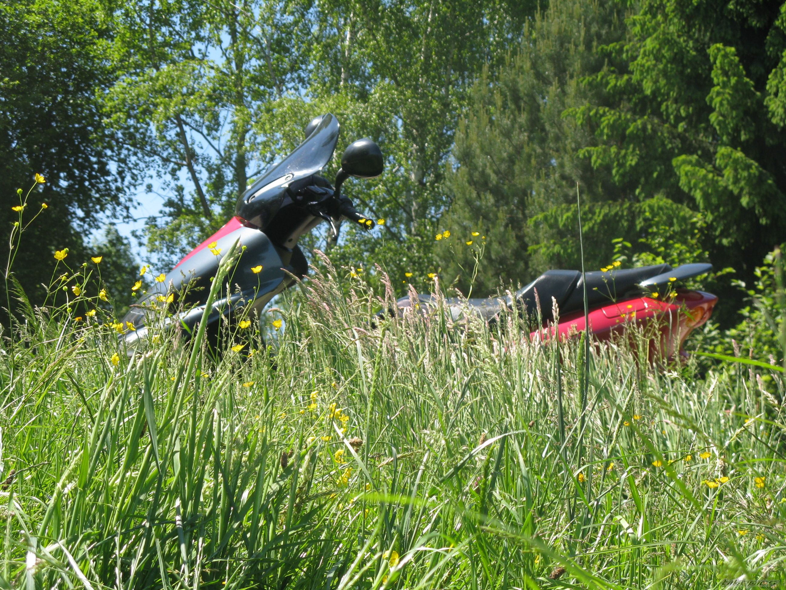 Photo 1313066