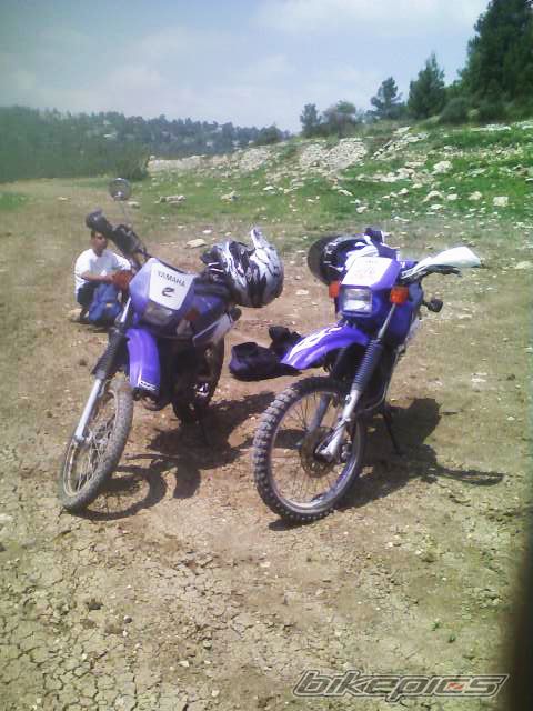 Bike Photo 1313072