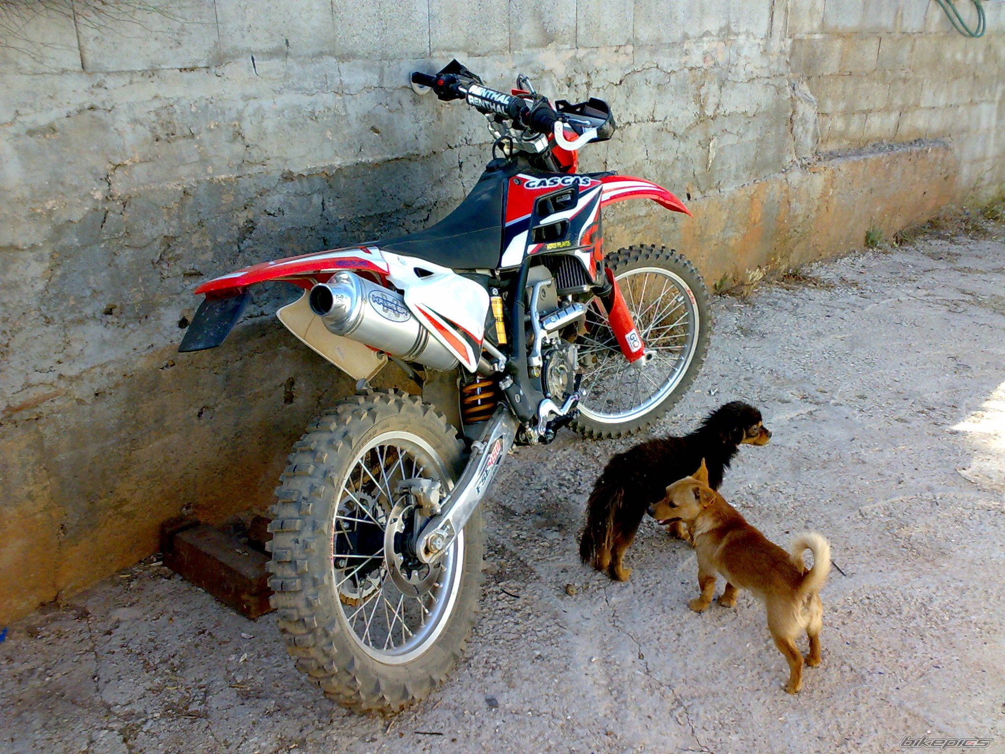 Bike Photo 1313073