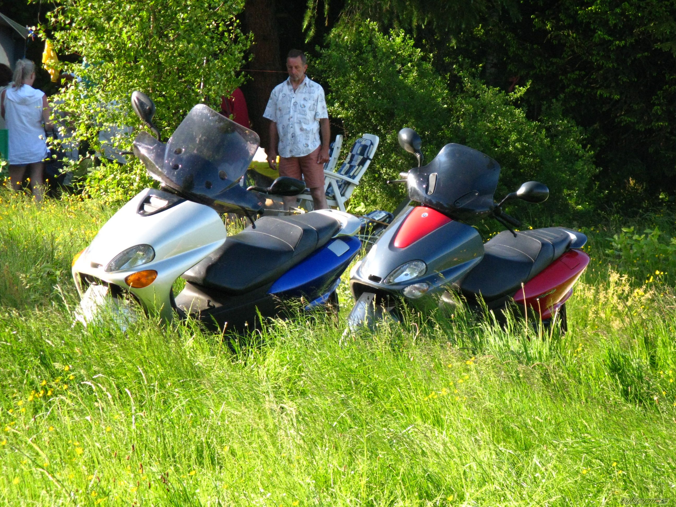 Photo 1313074