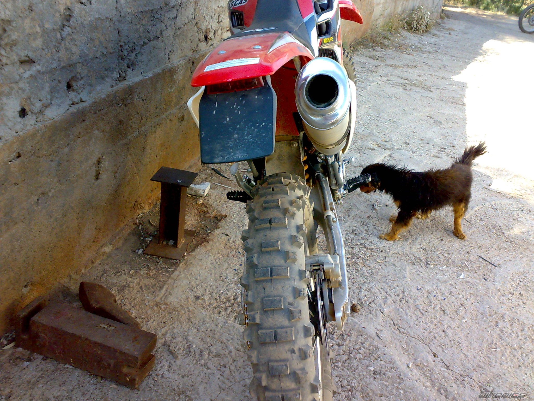 Photo 1313093