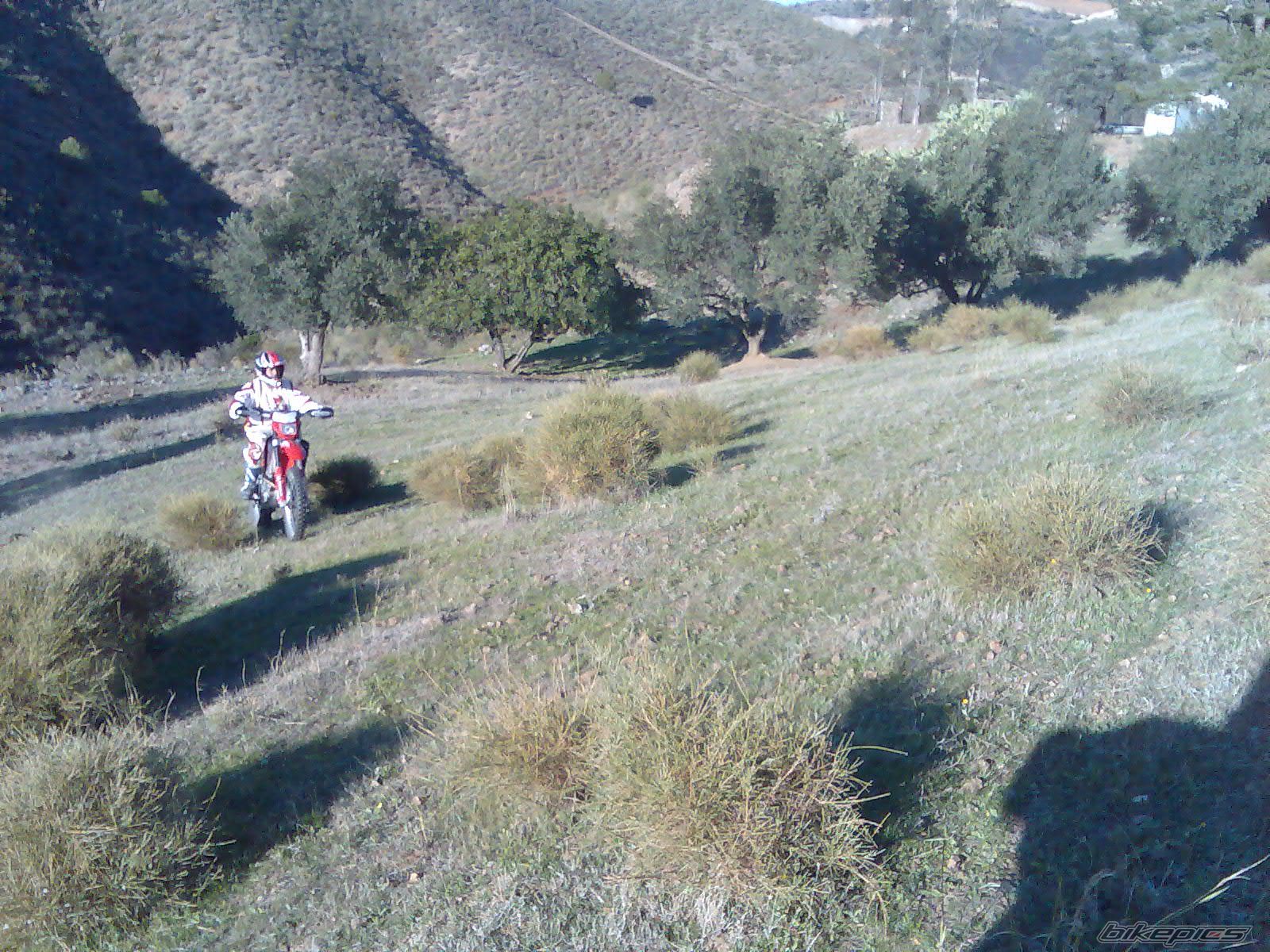 Photo 1313112