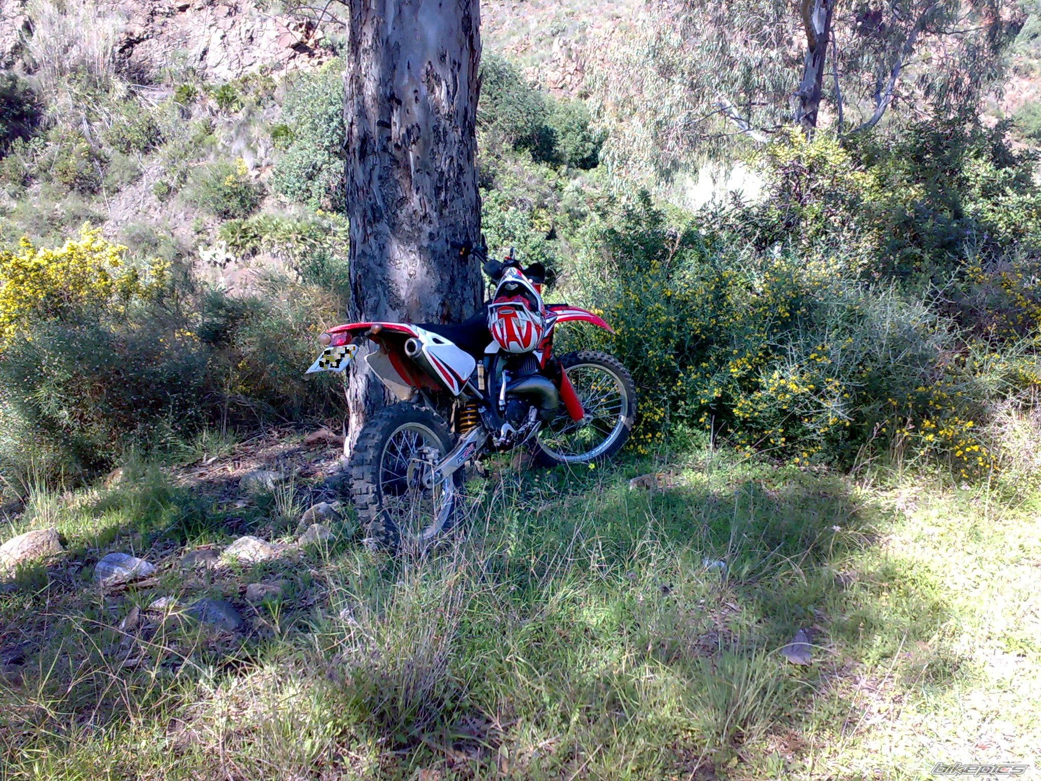 Bike Photo 1313141